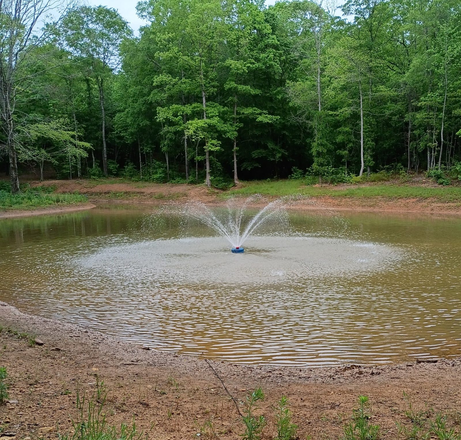 Natural surroundings at Real Nice & Easy RV Park in Goodwater, Alabama